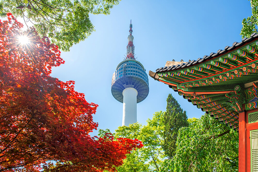 South Korea Tour Package